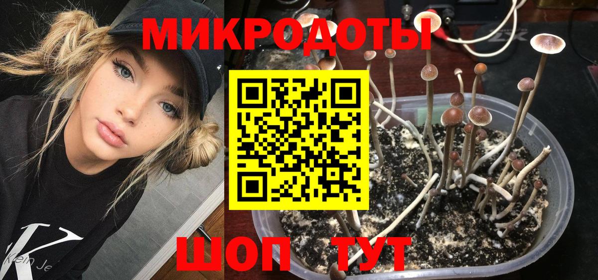 Корсаков  Галлюциногенные грибы мухоморы  Вход с VPN 
